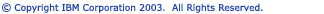 IBM Copyright Statement